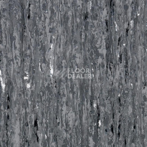 Линолеум Tarkett iq Optima DARK GREY 0866 фото 1 | FLOORDEALER